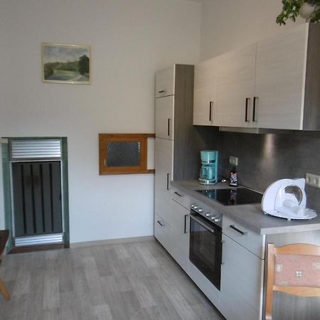 Ferienwohnung Rauscher Altenberg Bagian luar foto