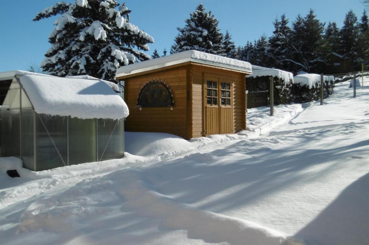 Ferienwohnung Rauscher Altenberg Bagian luar foto