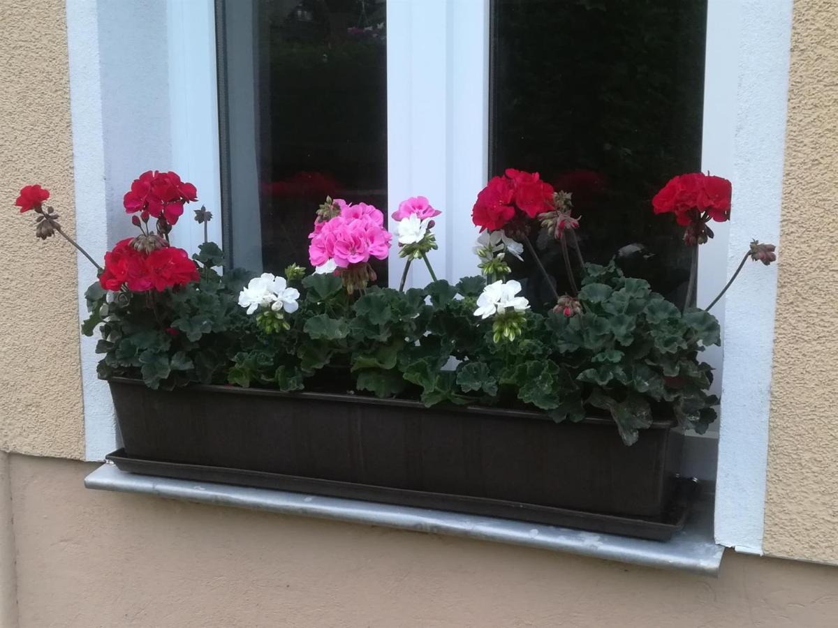 Ferienwohnung Rauscher Altenberg Bagian luar foto