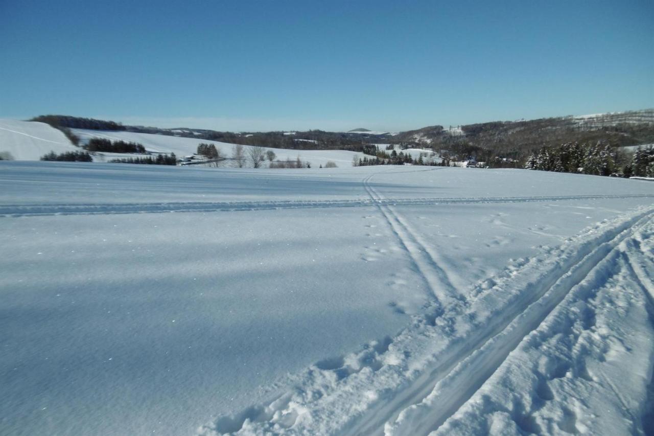 Ferienwohnung Rauscher Altenberg Bagian luar foto