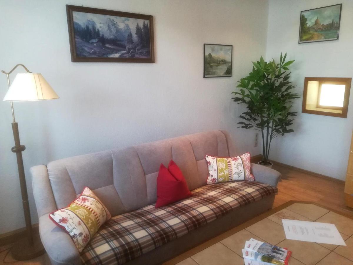 Ferienwohnung Rauscher Altenberg Bagian luar foto