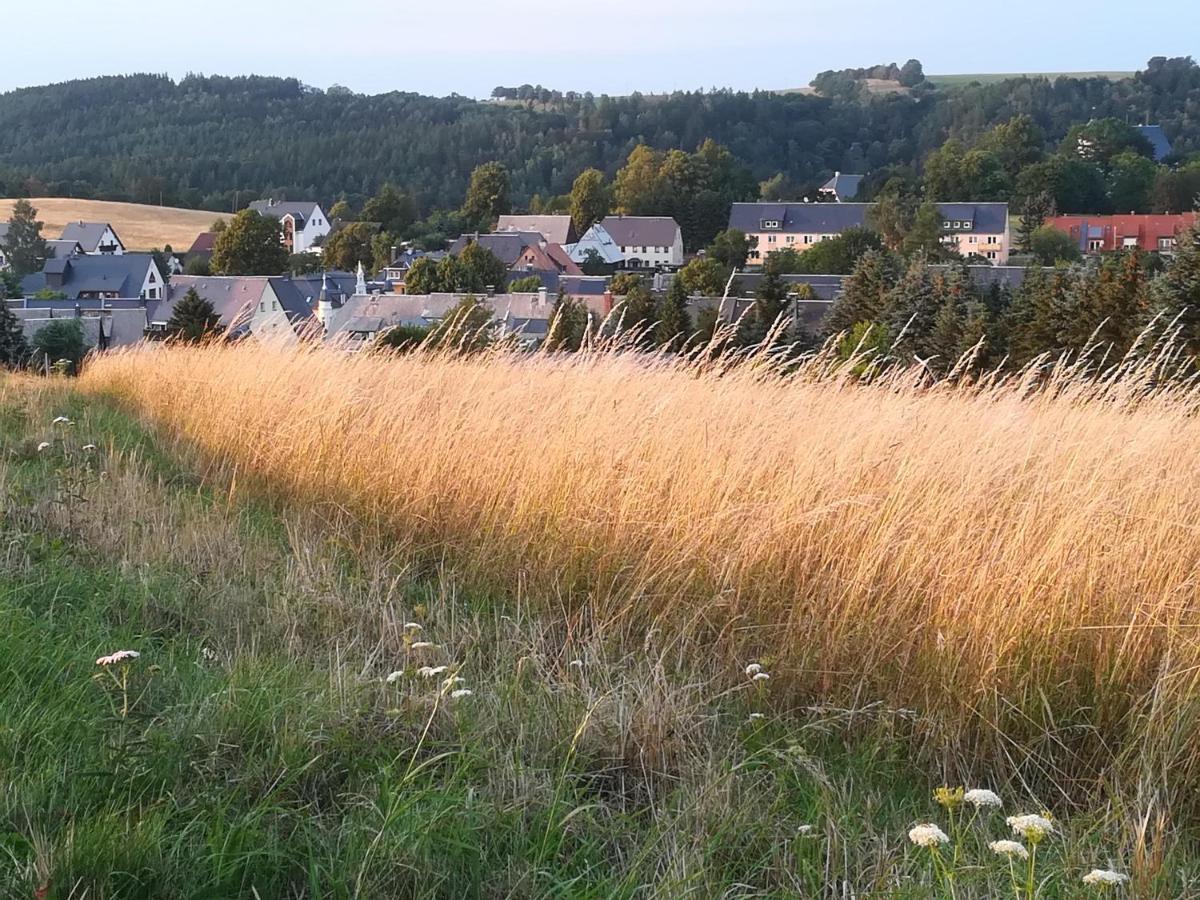 Ferienwohnung Rauscher Altenberg Bagian luar foto